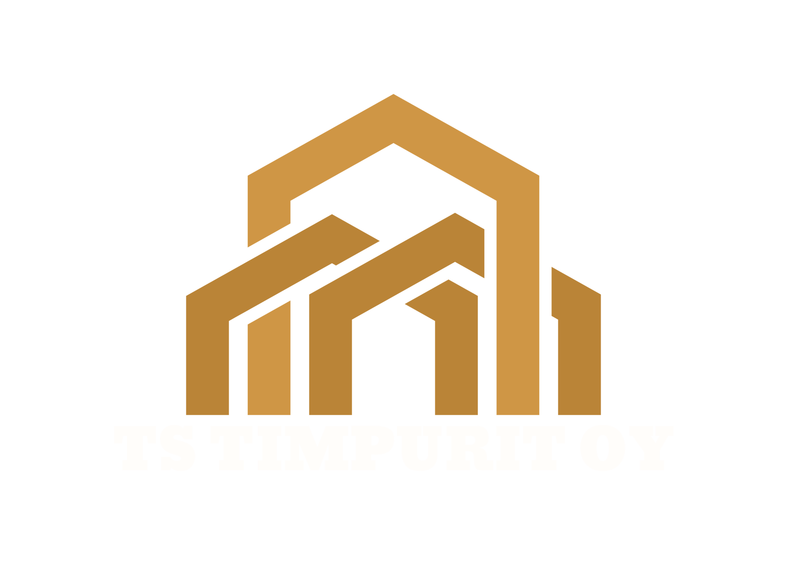 TS timpurit Oy